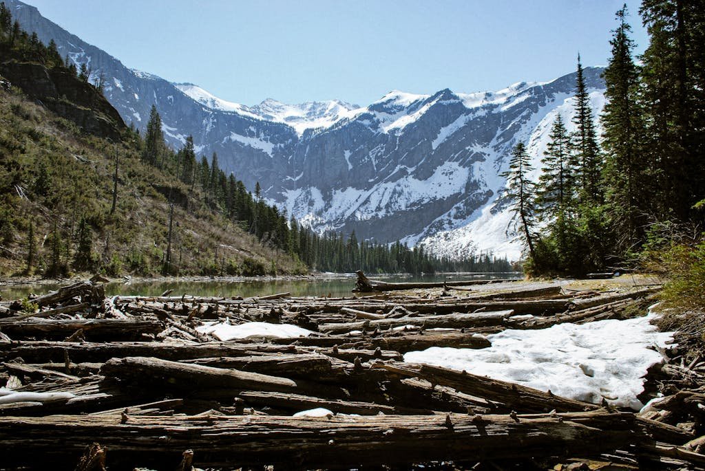 A breathtaking view of snow-capped mountains and a serene river with log-studded banks.