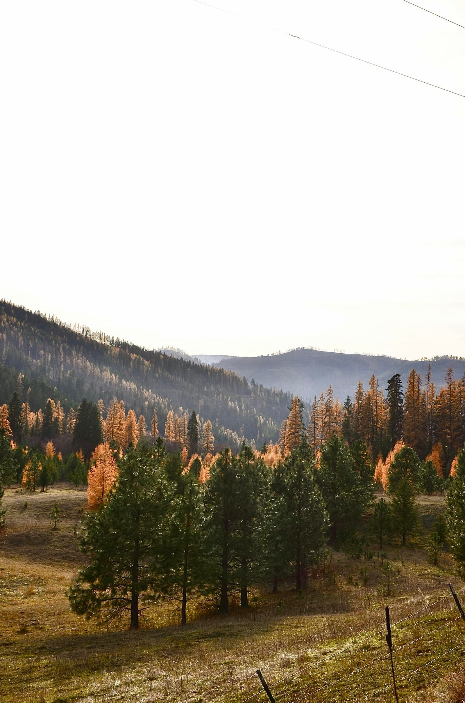 Beautiful sunrise over a forested mountain landscape displaying autumn colors, creating a serene atmosphere.