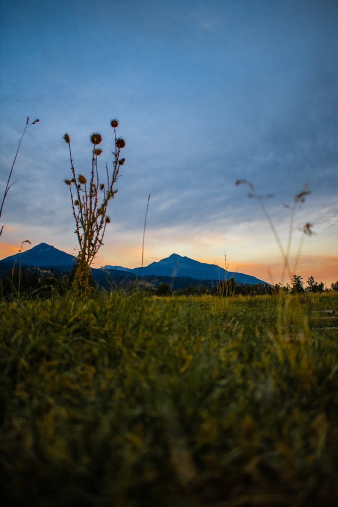 Scenic sunset view of the mountains and field in Livingston, Montana, USA.