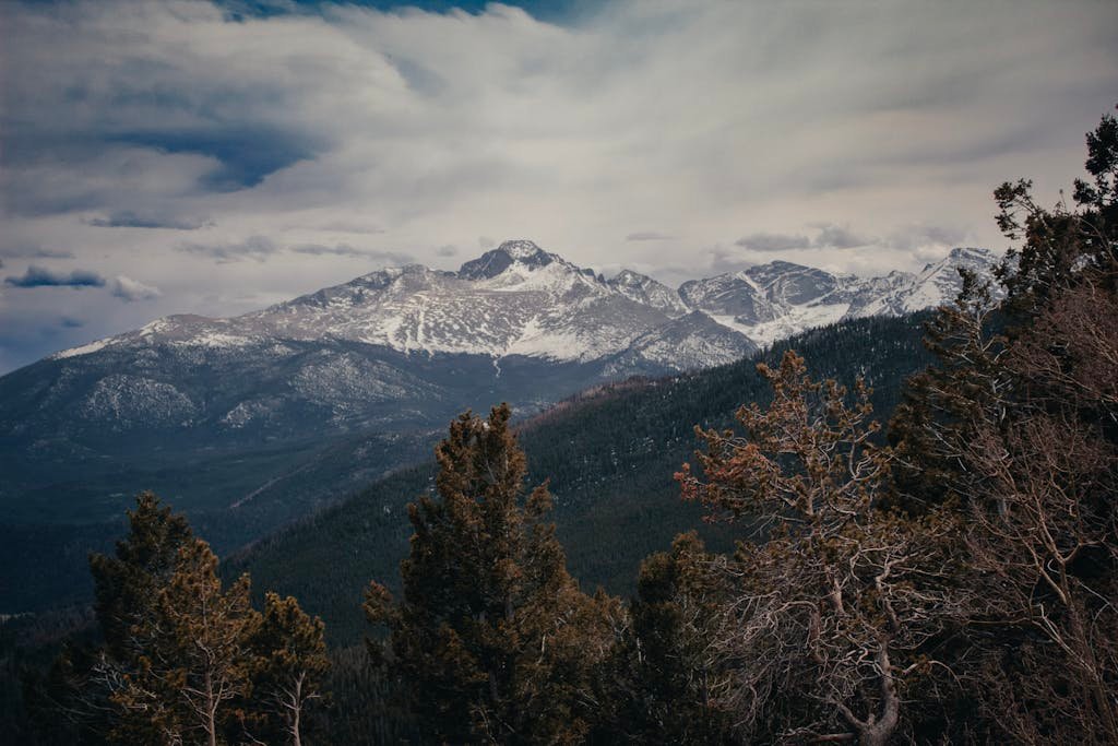 Majestic view of snow-covered Absaroka mountains during winter with dense tree foreground.